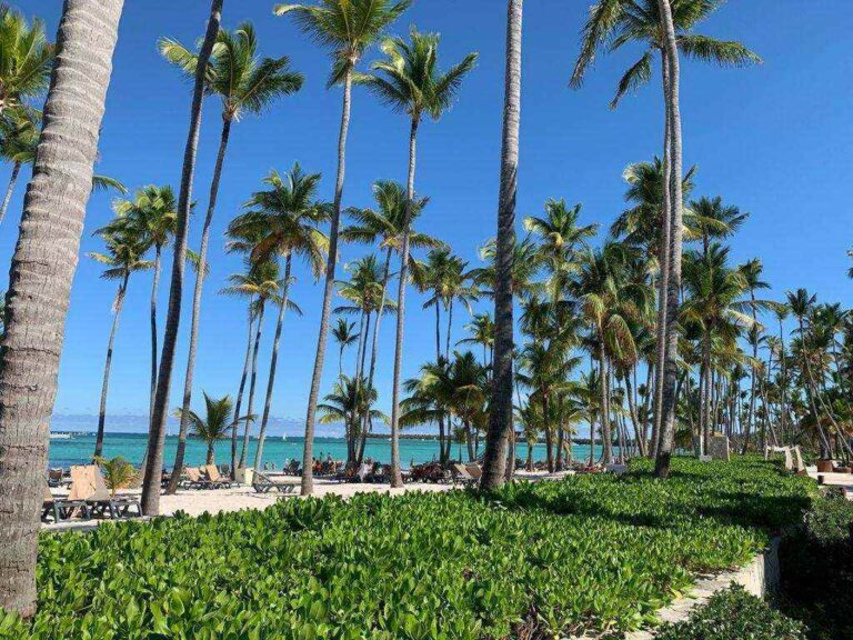 Du lịch Phan Thiết: lịch trình 2 ngày 1 đêm từ Sài Gòn